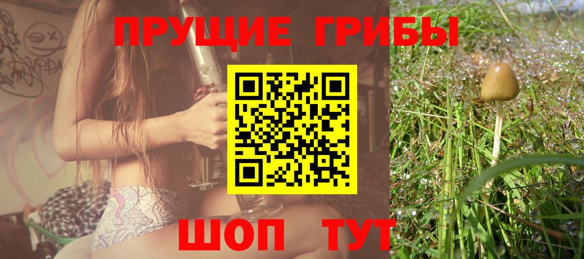 наркошоп  Псилоцибиновые грибы мицелий  Дзержинск  Вход с VPN  Псилоцибиновые грибы ЛСД 
